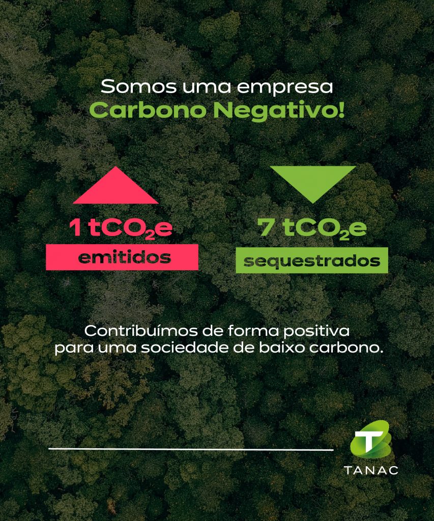 Tanac sequestra sete vezes mais gás carbônico do que emite