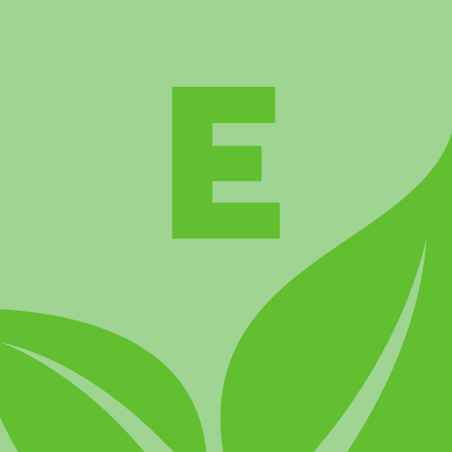 agenda-e