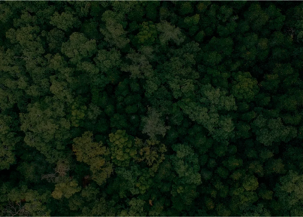 TANAC reforça seu papel de colaborar positivamente no combate à crise climática