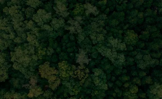 Imagem de TANAC reforça seu papel de colaborar positivamente no combate à crise climática