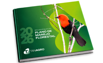 Imagem de Resumo Público do Plano de Manejo Florestal 2026